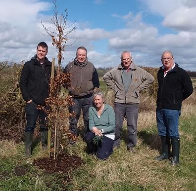 Bulkington Beech tree planting